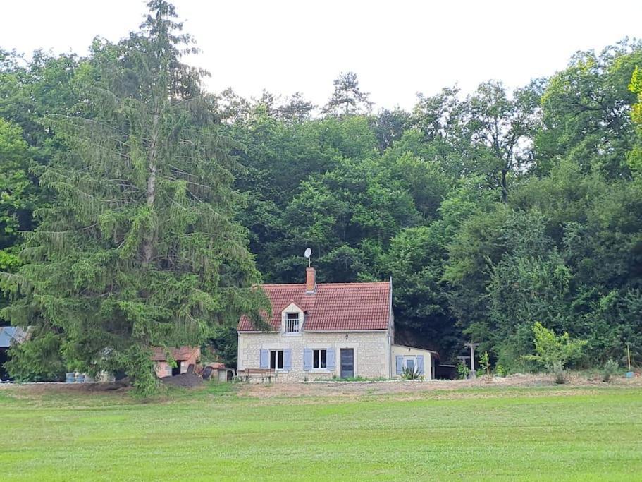 Superbe Lodge 4-8 Pers A 15 Mn Zoo Beauval Faverolles  Exterior foto